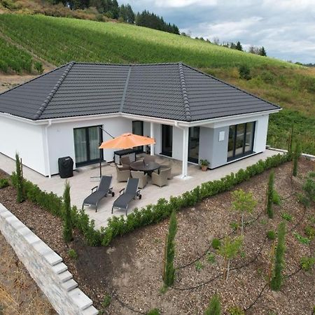 Neu - Premium-Ferienhaus Mosel-Sonne 特拉本特拉巴赫 外观 照片