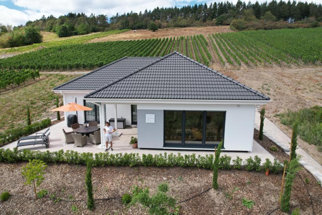 Neu - Premium-Ferienhaus Mosel-Sonne 特拉本特拉巴赫 外观 照片