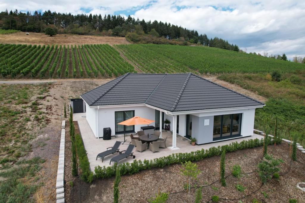 Neu - Premium-Ferienhaus Mosel-Sonne 特拉本特拉巴赫 外观 照片