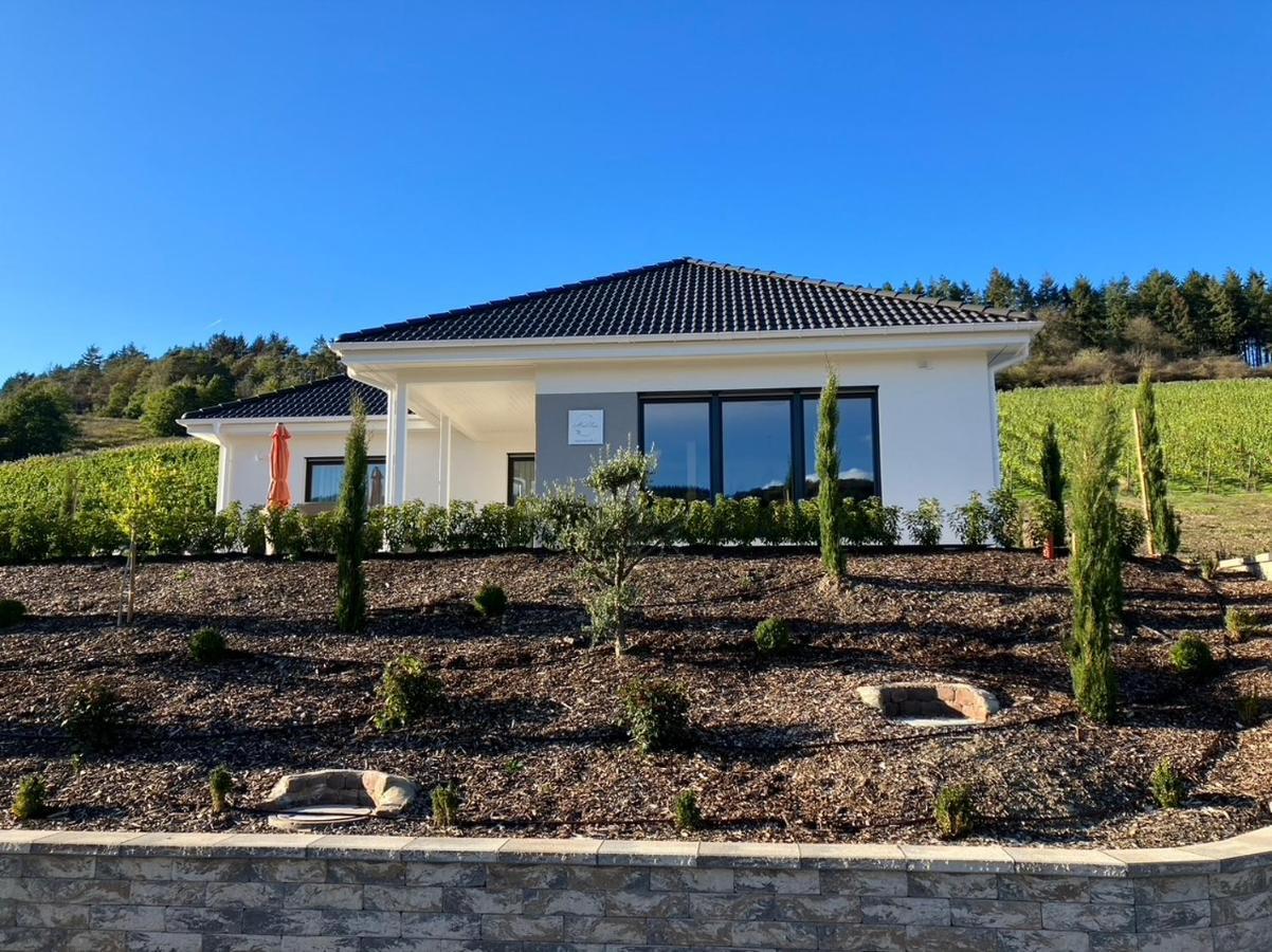 Neu - Premium-Ferienhaus Mosel-Sonne 特拉本特拉巴赫 外观 照片