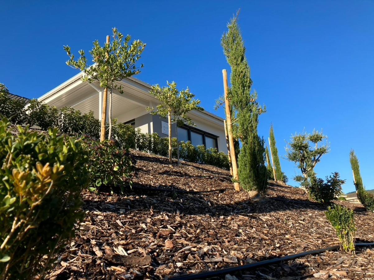 Neu - Premium-Ferienhaus Mosel-Sonne 特拉本特拉巴赫 外观 照片